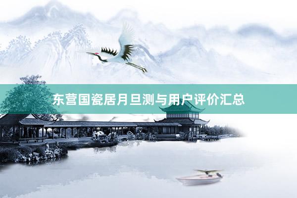 东营国瓷居月旦测与用户评价汇总